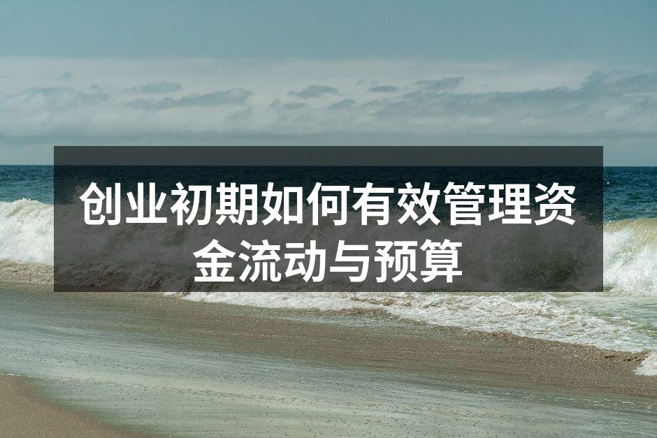 创业初期如何有效管理资金流动与预算