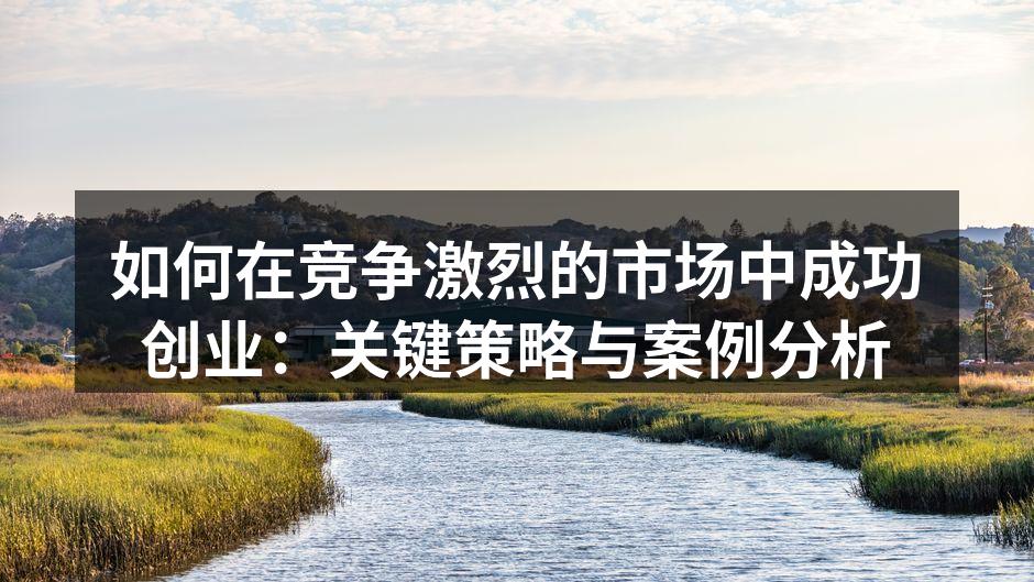 如何在竞争激烈的市场中成功创业：关键策略与案例分析